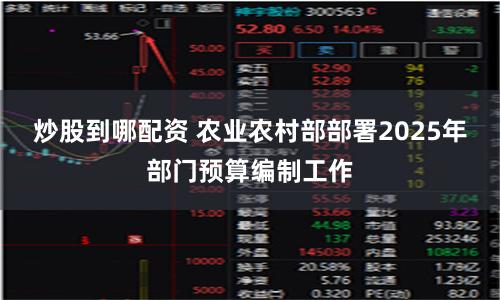 炒股到哪配资 农业农村部部署2025年部门预算编制工作